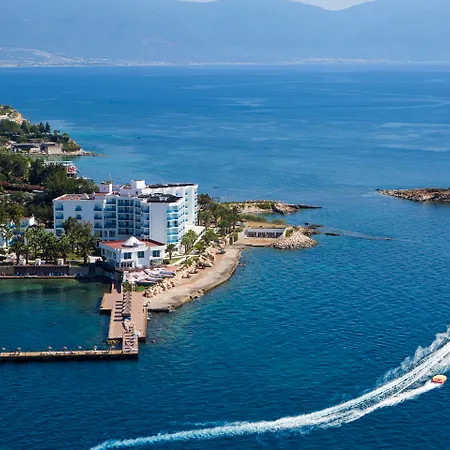 Le Bleu & 5*